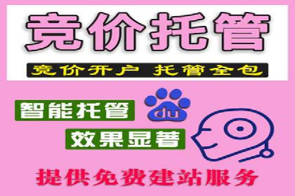 SEM代运营公司案例：优化策略揭秘